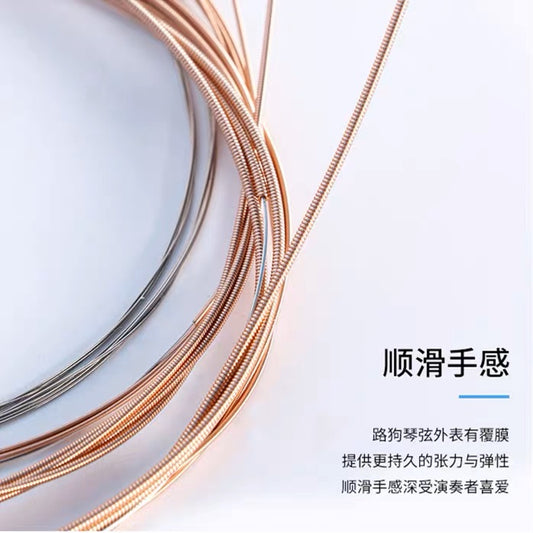 LANDTOM 5pcs special strings for MINI guzheng