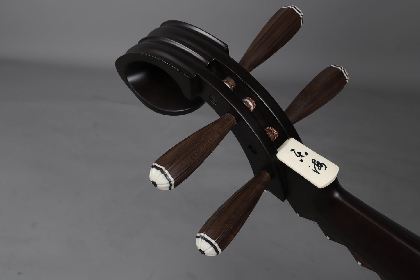 LANDTOM Yuehai Adult's Swartzia arnotii (Arnot Rosewood / Arnotiwood) Pipa 9115 For Pipa performance and professional-grade examinations