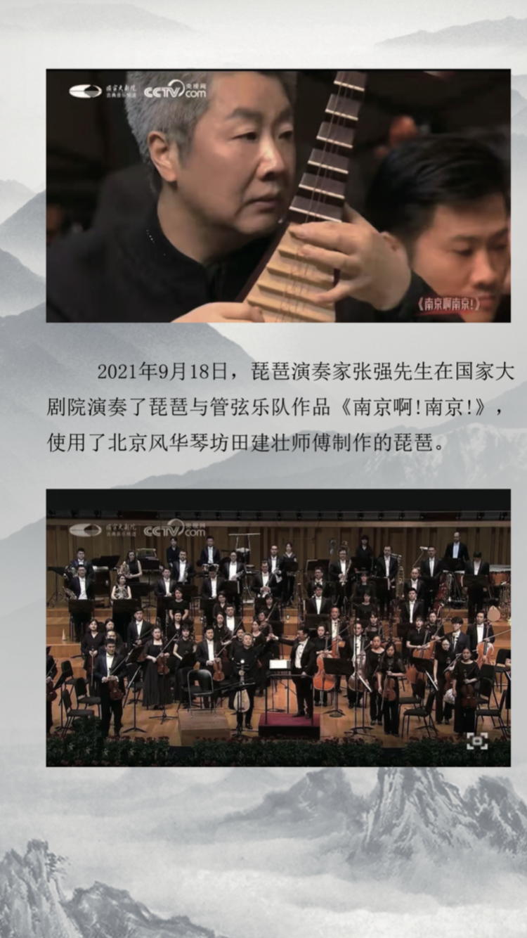 LANDTOM Concert and Colletion Level Rosewood-Dalbergiaoliveri Pipa for Musicians Chinese Pipa/Chinese Stringed Lute Made by Famous Pipa Master Tian JIanzhuang