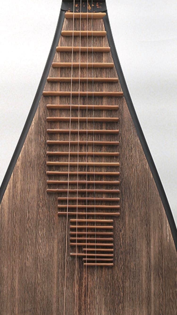 LANDTOM Concert level chicken-wing wood  Chinese Pipa/Chinese Stringed lute with back-to-ancients style made by famous pipa master Tian JIanzhuang