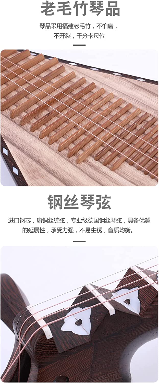 LANDTOM Professional Chicken-Wing Wood Chinese Lute Traditional National Stringed Instrument Pipa for Adults…