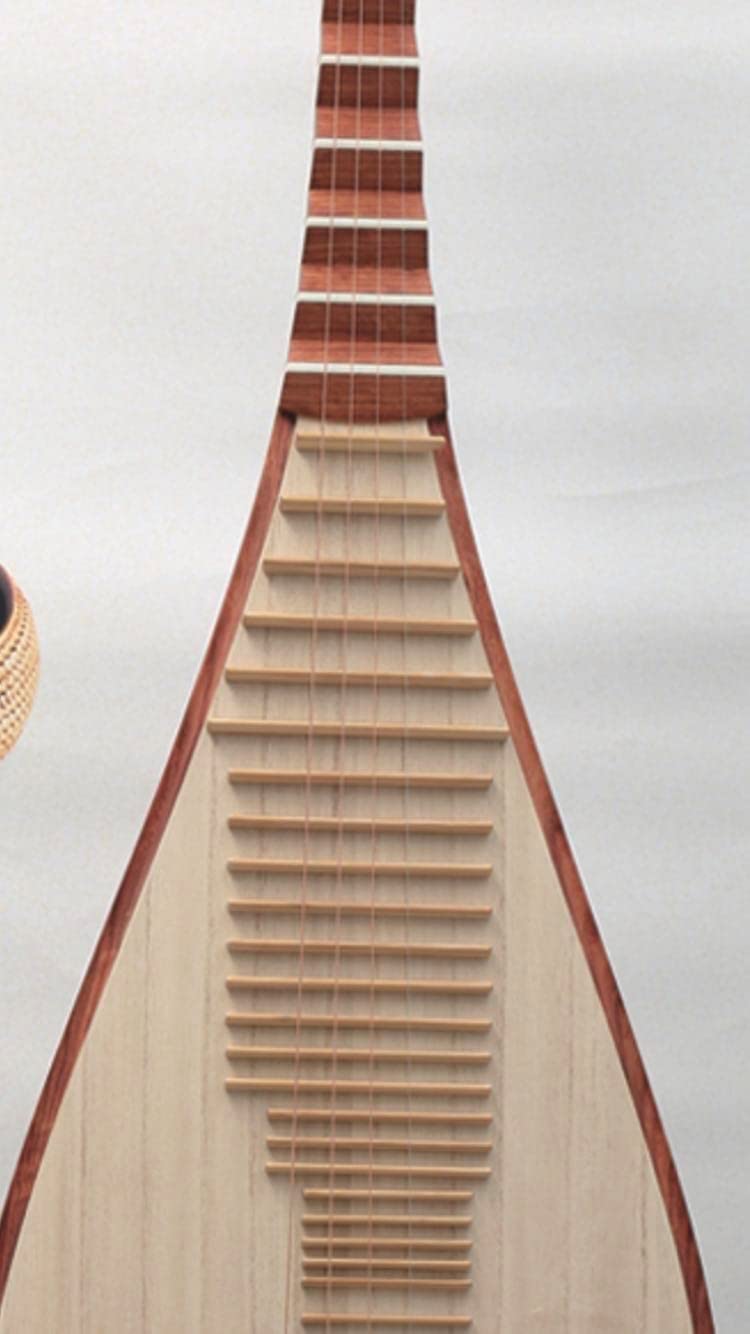 LANDTOM Concert and Colletion level Burma Rosewood Chinese Pipa/Chinese Stringed lute made by famous pipa master Tian JIanzhuang…
