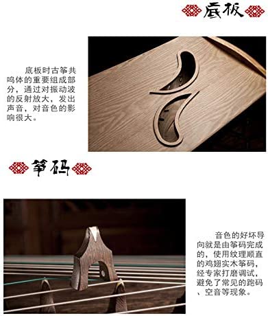 LANDTOM Dragon and Phoenix  Rosewood with Pear Flower Picture Guzheng (163cm) for Adults/Children/Senior/Intermediate/Beginner(N0.TS 613)