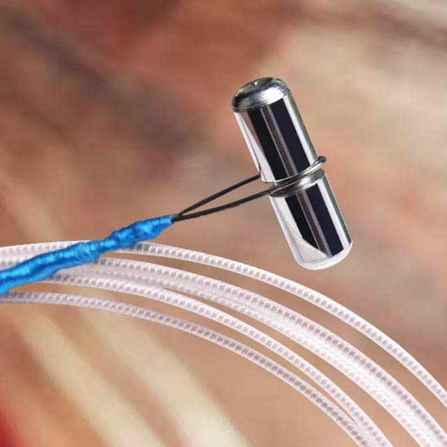 LANDTOM Chinese Guzheng Accessory Steel Wire and Nylon Guzheng String 1-21# Pack of 21 (full set)…