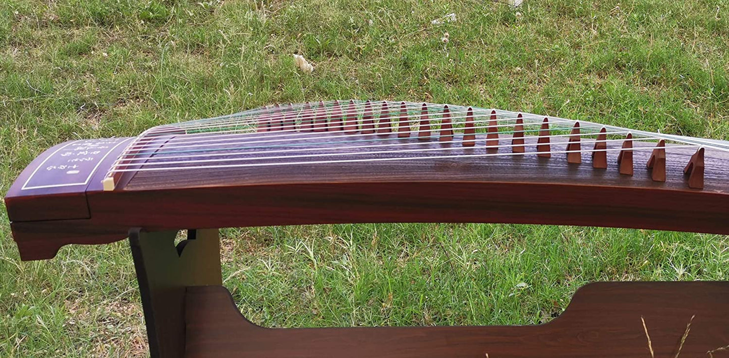 Landtom Professional Paulownia Guzheng(163cm)for Adults/beginner (The great beauties)…