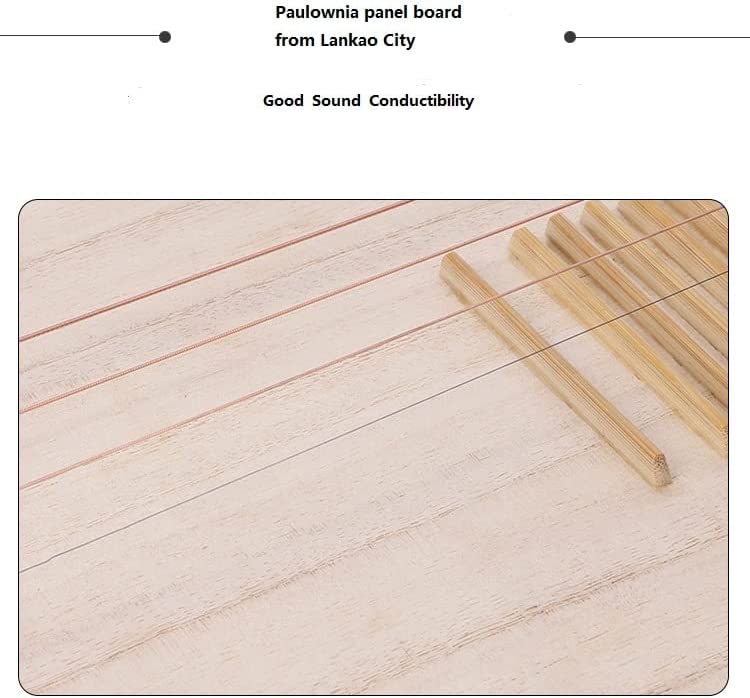 LANDTOM Entry level Rosewood(花梨) Chinese Lute Traditional National Stringed Instrument PiPa (adults-rosewood)…