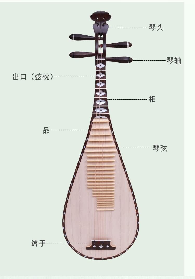 LANDTOM Professional Chicken-Wing Wood Chinese Lute Traditional National Stringed Instrument Pipa for Adults…