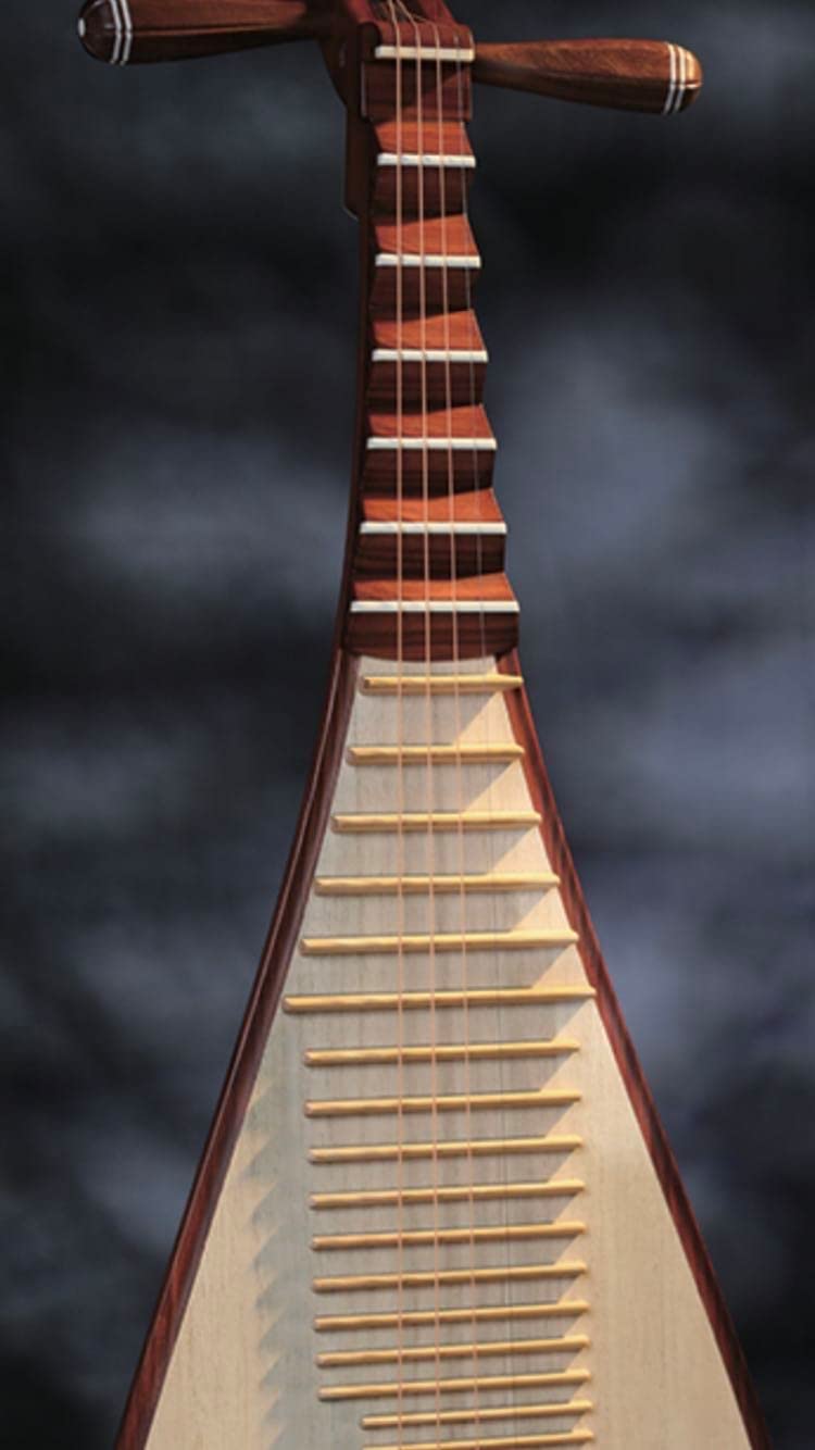 LANDTOM Concert and Colletion level Pau rosa (小叶红檀)Chinese Pipa/Chinese Stringed lute made by famous pipa master Tian JIanzhuang…