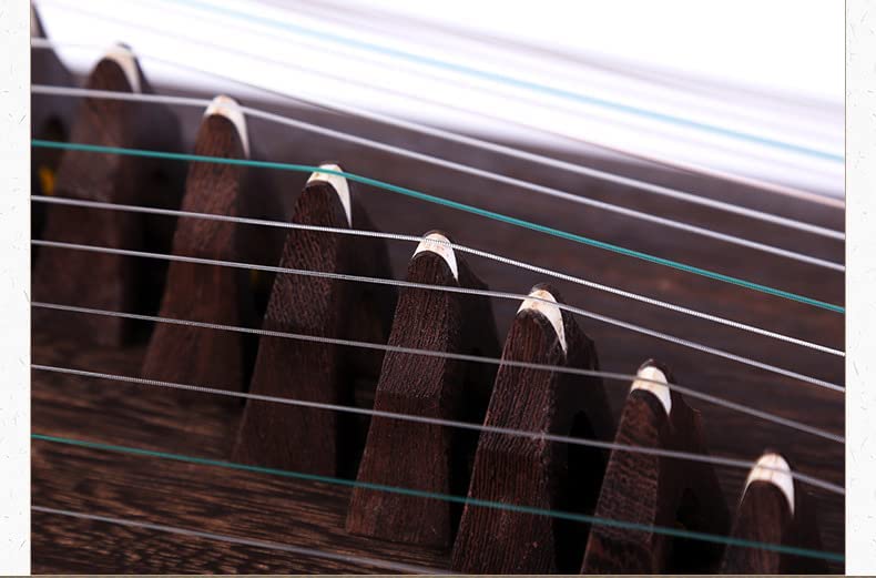 LANDTOM Dragon and Phoenix  Rosewood with Pear Flower Picture Guzheng (163cm) for Adults/Children/Senior/Intermediate/Beginner(N0.TS 613)