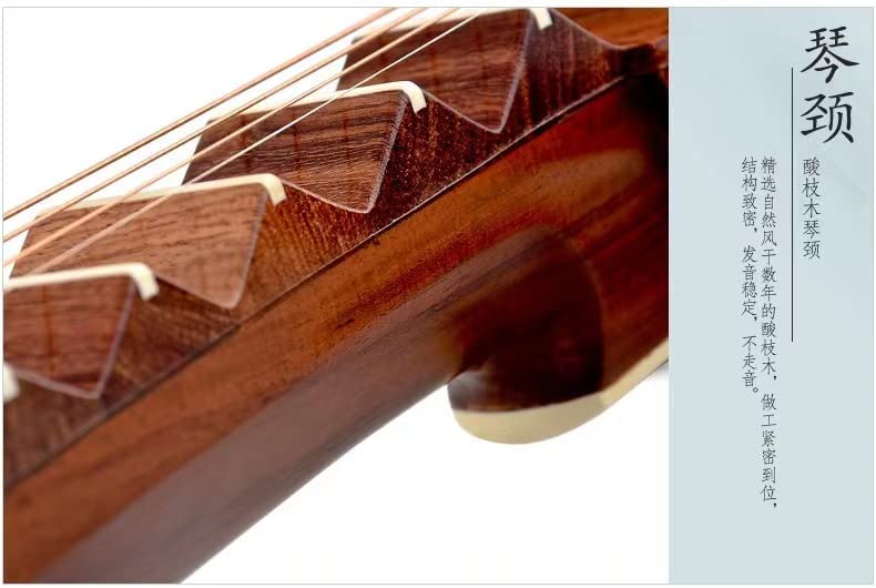 LANDTOM Professional Xing Hai brand Rosewood-Dalbergiaoliveri (老酸枝/学名奥氏黄檀) Chinese Lute Traditional Stringed Instrument PiPa for Adults 8914-1…