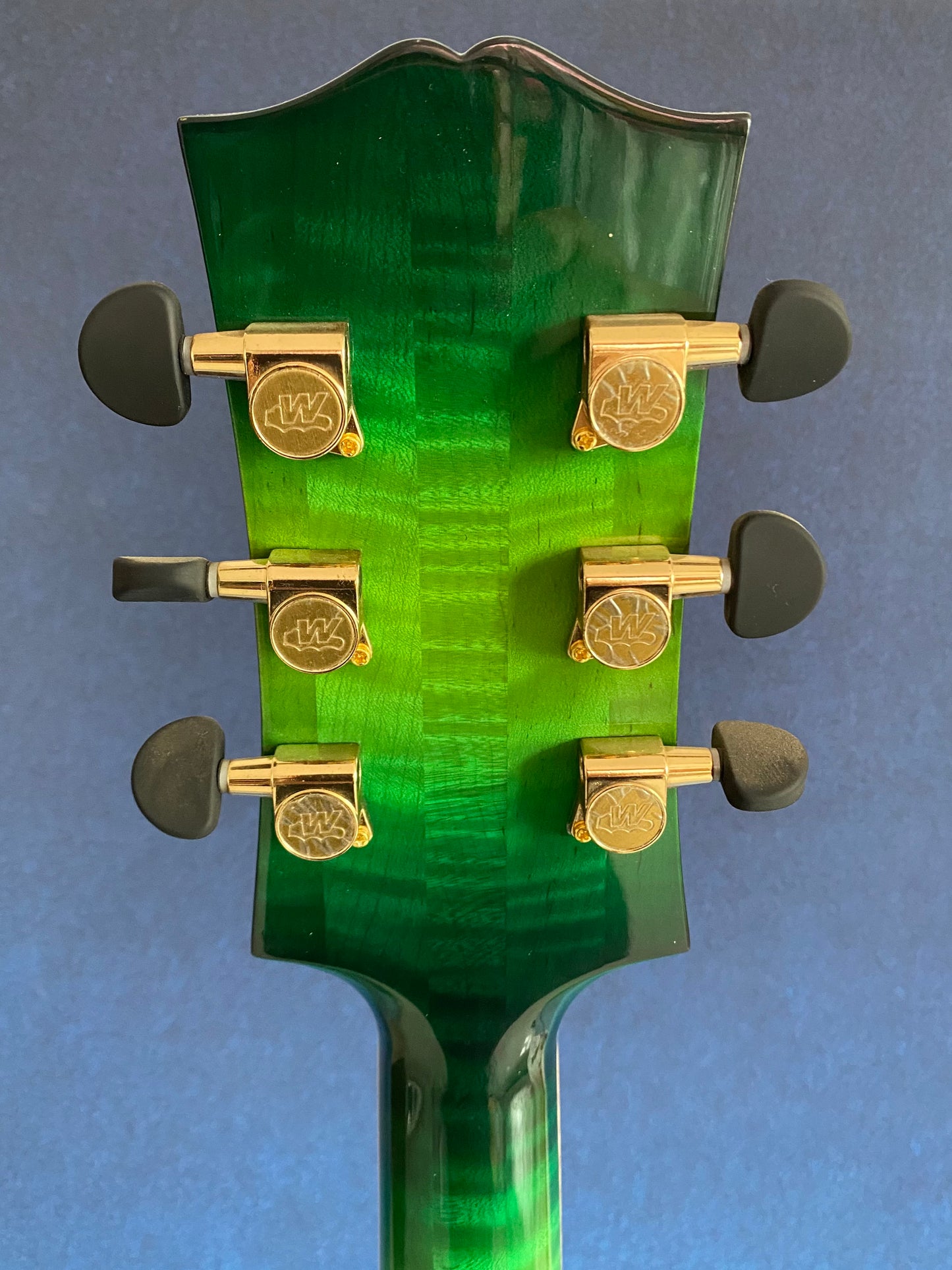 LANDTOM 19NYL Luthier Handcrafted 16" Jazz Hollow Body Electric Guitar Professional Flamed Maple Solid Wood Green Spruce Top/ Ebony