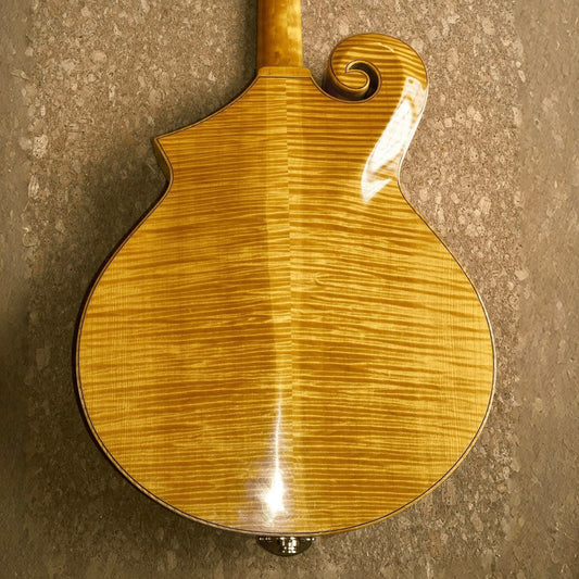 LANDTOM Handmade Mandolin Guitar Electric Archtop Jazz Guitar Maple Hollow Body and Ebony Fingerboard Customizable