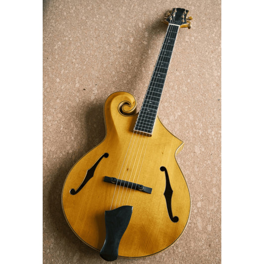 LANDTOM Handmade Mandolin Guitar Electric Archtop Jazz Guitar Maple Hollow Body and Ebony Fingerboard Customizable