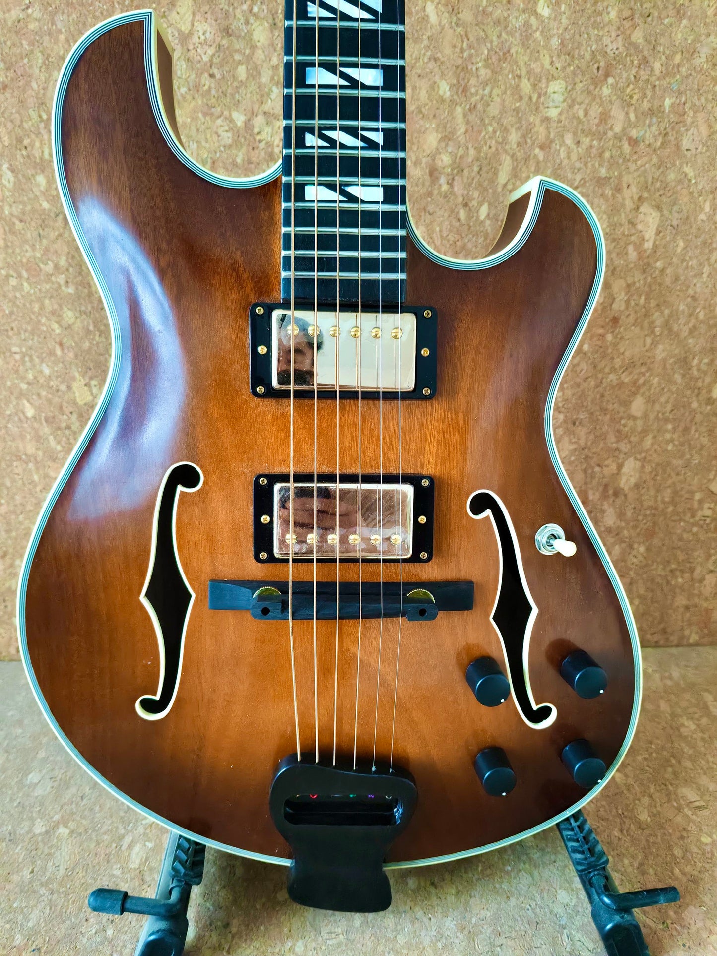 LANDTOM Customizable Handmade Archtop Languedoc Style Jazz Guitar-Luthier Guitar Carved Mahogany Body Ebony Fingerboard Professional Electric Guitar