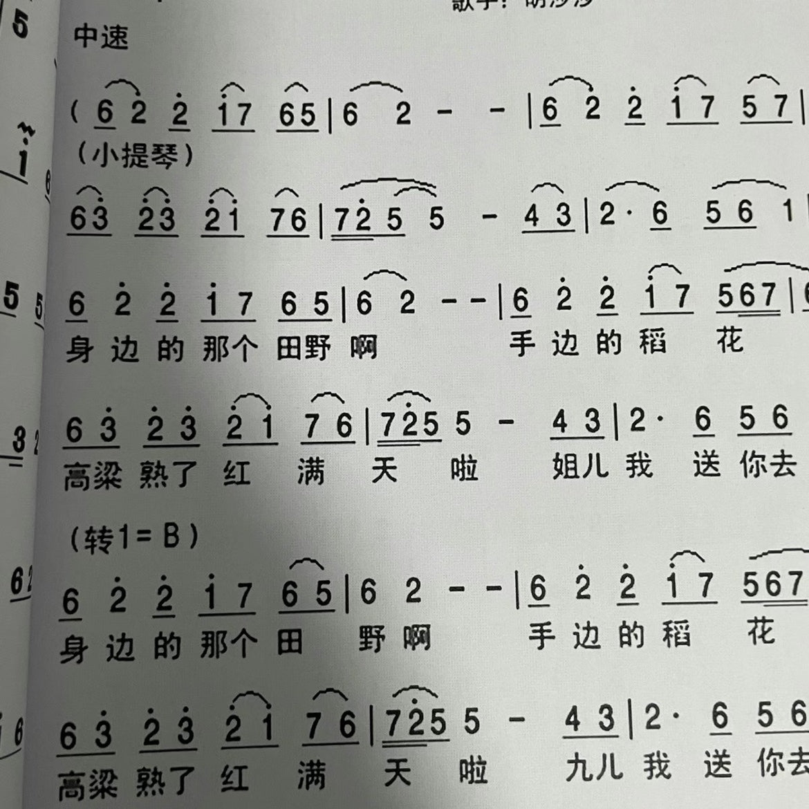 LANDTOM Set of 3 Xiao Music Scores, Three Volumes of Famous Dongxiao Music, Flute Music Scores, Xun Music Scores, Ocarina Music Scores, A Collection of Xiao Music Scores