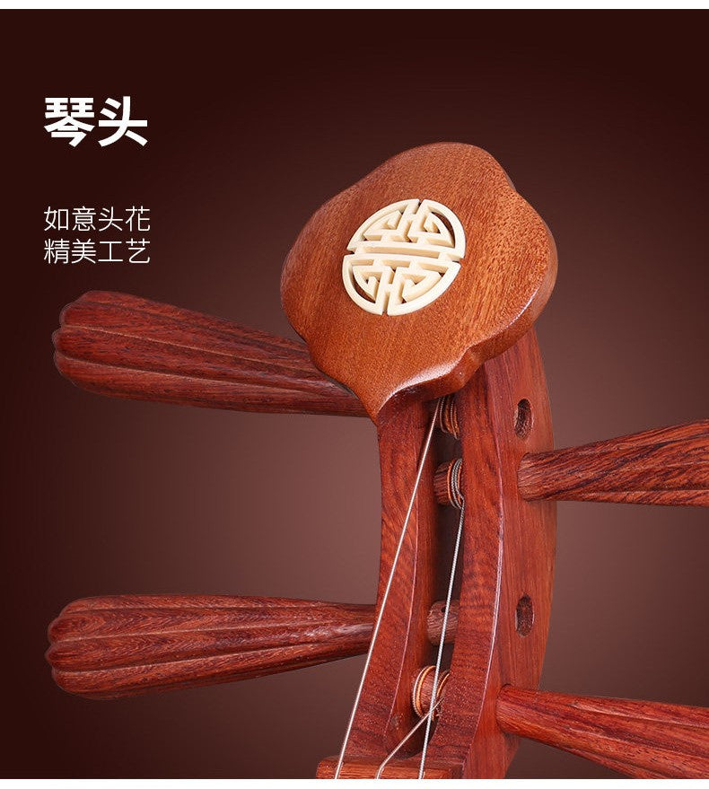 Dunhuang敦煌 637 Beginner Yueqin 3-String, 17-Fret with Paulownia Soundboard, Rosewood Body, Dalbergia Rosewood 8-Ridge Tuning Pegs & Ruyi Headstock