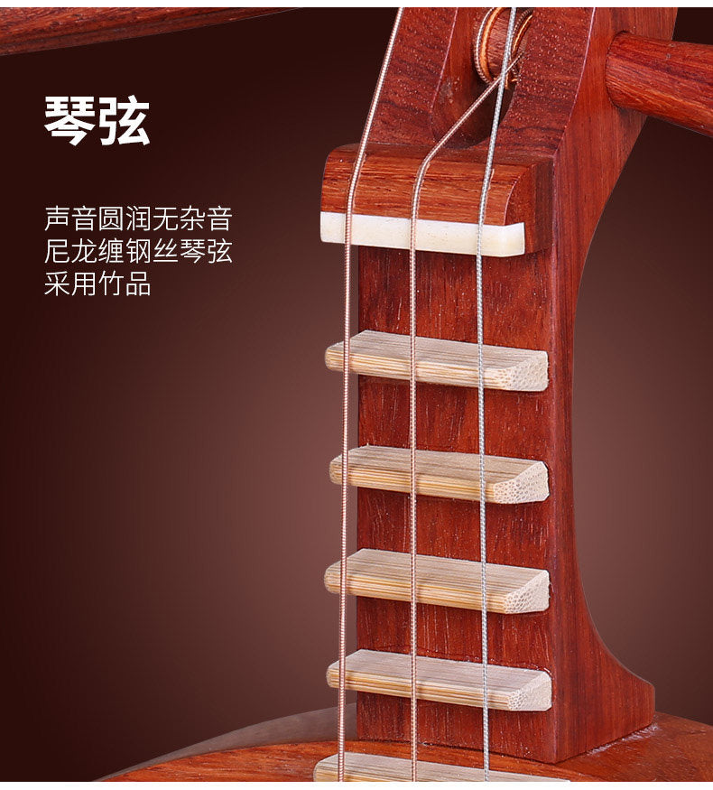 Dunhuang敦煌 637 Beginner Yueqin 3-String, 17-Fret with Paulownia Soundboard, Rosewood Body, Dalbergia Rosewood 8-Ridge Tuning Pegs & Ruyi Headstock