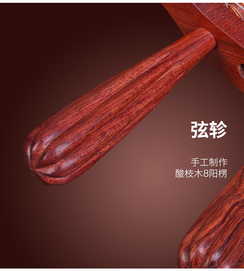 Dunhuang敦煌 637 Beginner Yueqin 3-String, 17-Fret with Paulownia Soundboard, Rosewood Body, Dalbergia Rosewood 8-Ridge Tuning Pegs & Ruyi Headstock
