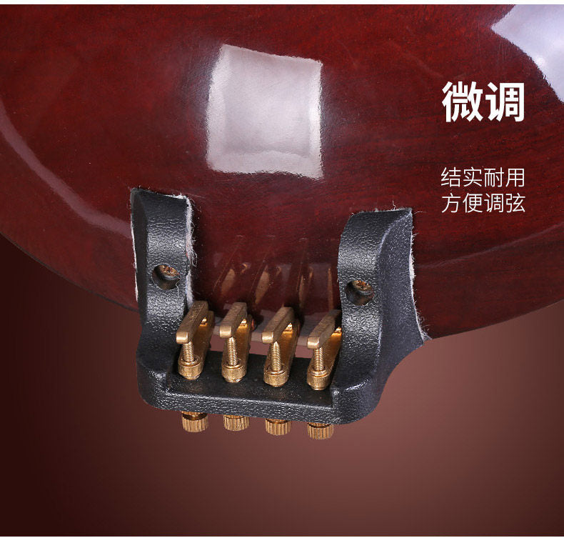 Dunhuang敦煌 651 Professional Liuqin Paulownia Soundboard, Dalbergia Rosewood Body & Aged Rosewood Six-Ridged Tuning Pegs, 4-String Chinese Mandolin for Performance & Examinations
