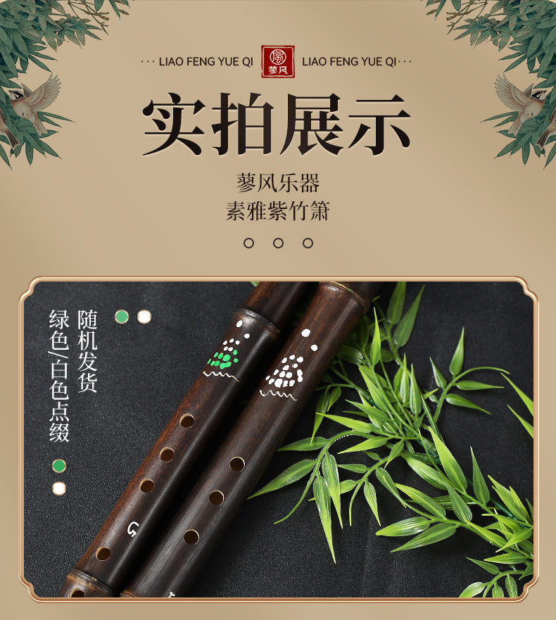 LANDTOM Purple Bamboo Xiao Flute 8 Hole Chinese Vertical Bamboo Flute G/F Key Beginner Professional Musical Instrument with Accessories