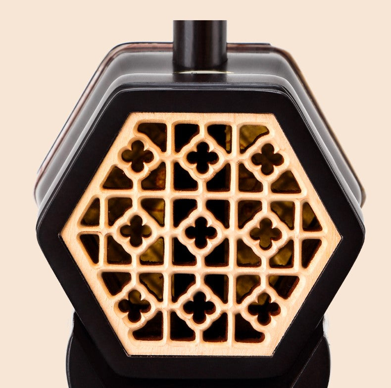 LANDTOM Recommended Huqiu Old Rosewood Erhu Chinese 2-string Violin Fiddle Musical Instrument With Accessories Concert Level Expert Authentication Signature Erhu Gold Seal Python Skin