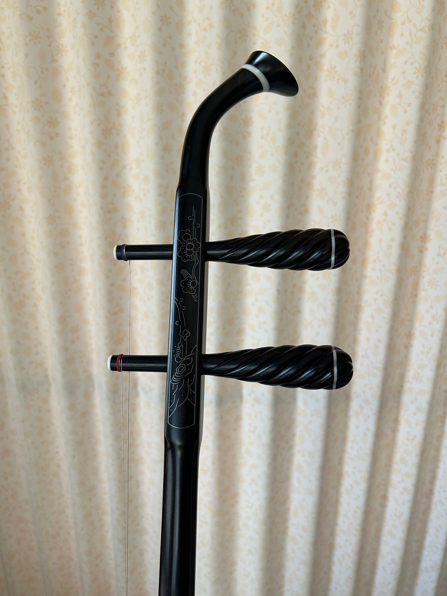 Landtom Professional Ebony Erhu Chinese 2-string Violin Fiddle Musical Instrument With Free Accessories, Musical College Recommended