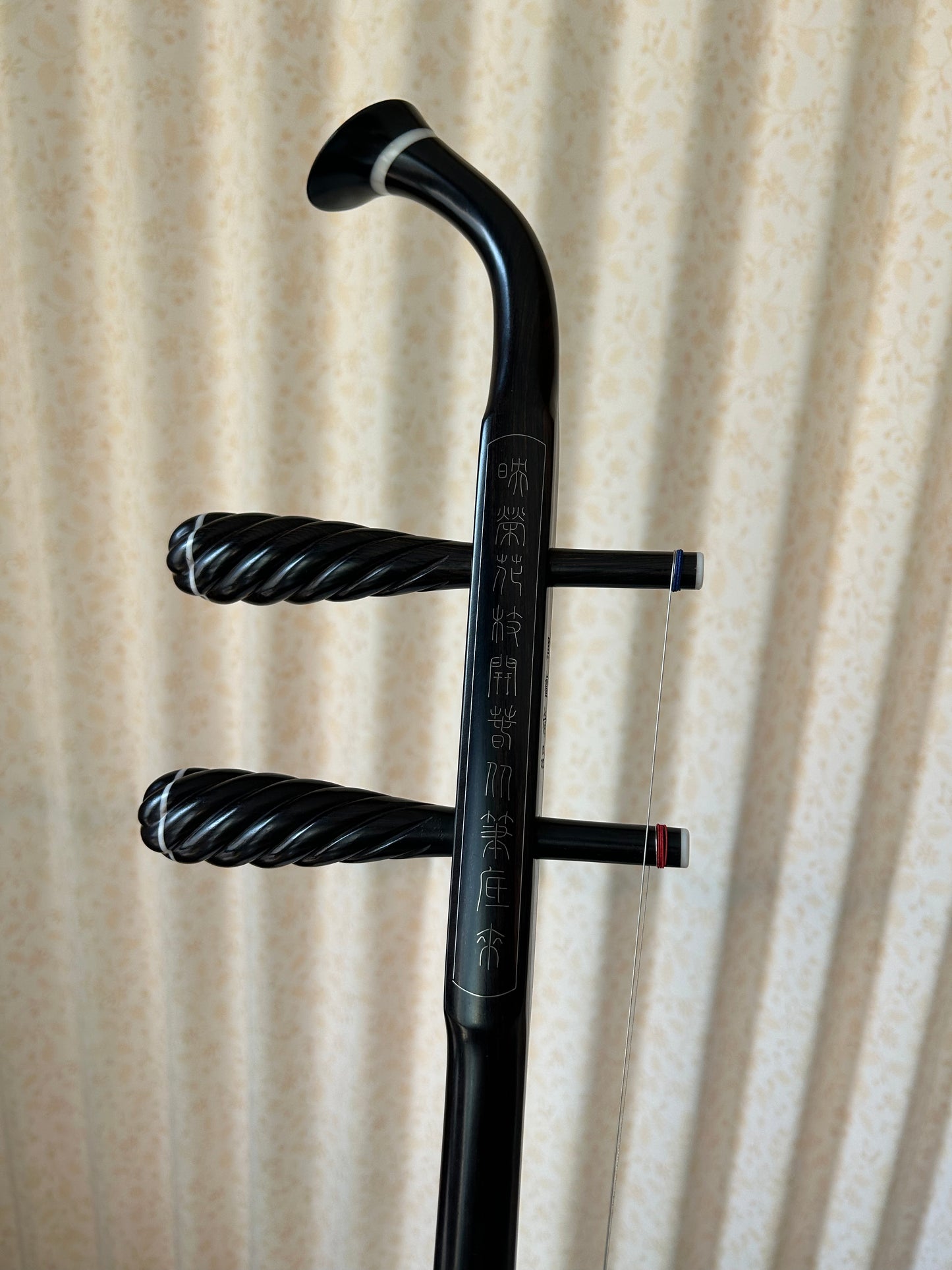 Landtom Professional Ebony Erhu Chinese 2-string Violin Fiddle Musical Instrument With Free Accessories, Musical College Recommended