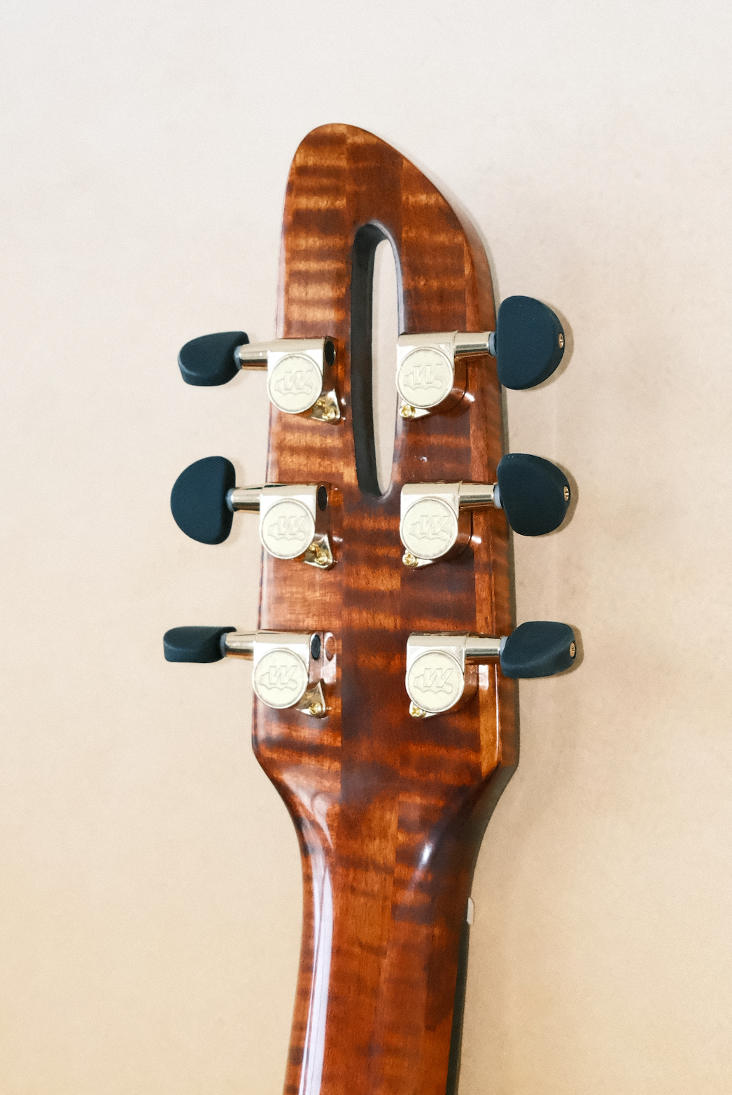 LANDTOM Handcraft Luthier ES335 Archtop Jazz Guitar Hollow Body Components & Kits with Maple Neck Ebony Fingerboard Spruce Top For Professional Players And Jazz Lovers