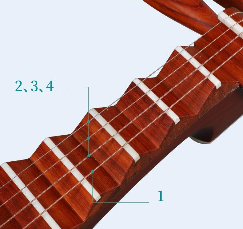 LANDTOM Yuehai Adult's African Rosewood Pipa 912-2 For Beginners, Amateurs, Performances, Professional Grade Examinations