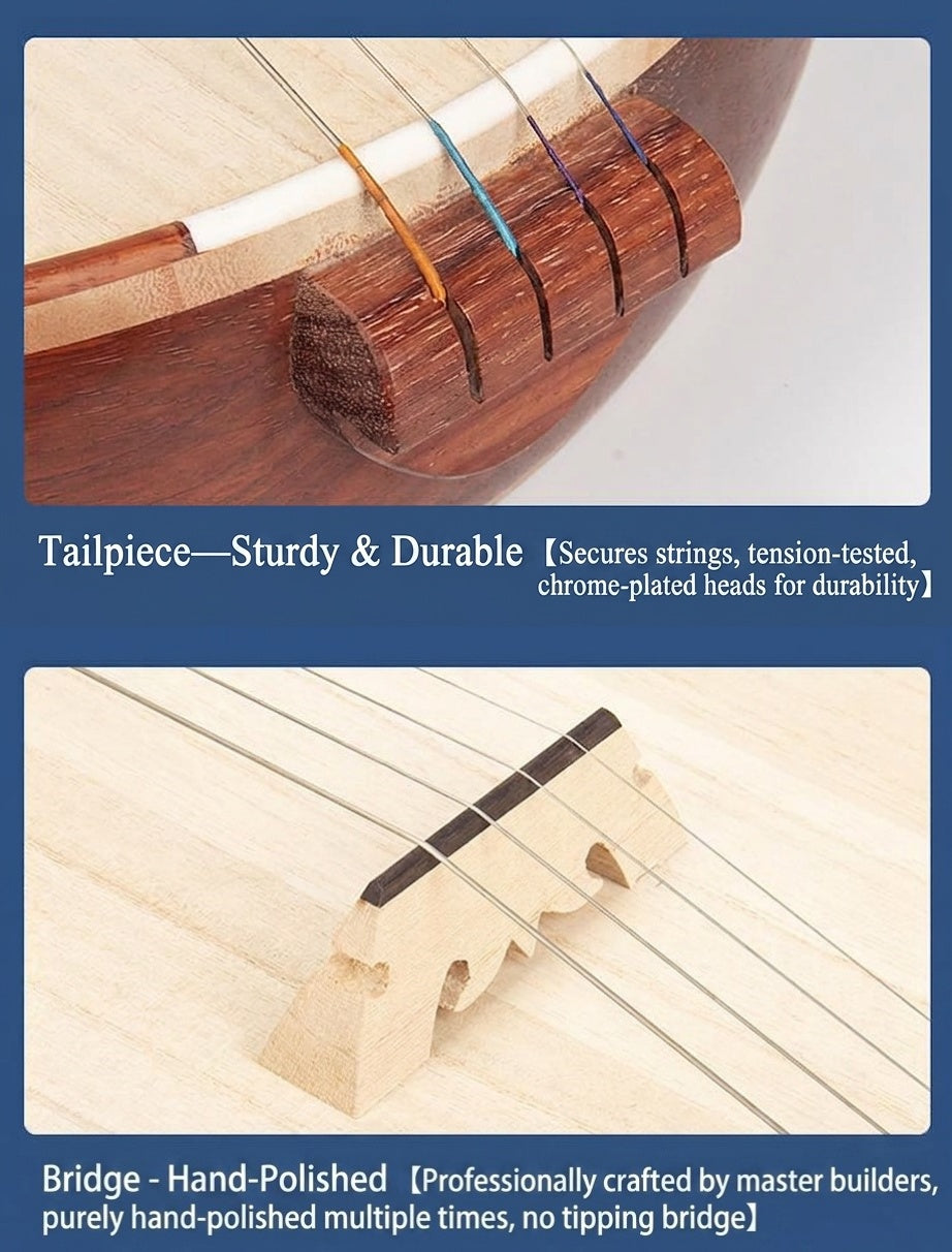 LANDTOM Rosewood Zhongruan Intermediate Performance & Examination Grade with Paulownia Soundboard, Cutaway Body, Straight Headstock & Bird-Shaped Sound Holes