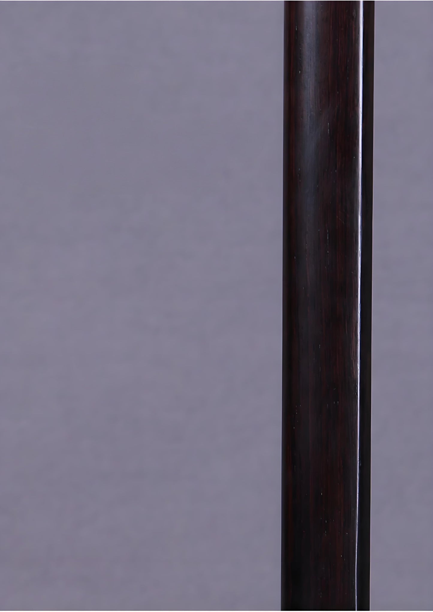 Wan Qixing(万其兴古月琴坊) Ebony Wood(黑檀) Erhu H206 – Professional Beginner Chinese Fiddle with Powerful Sound