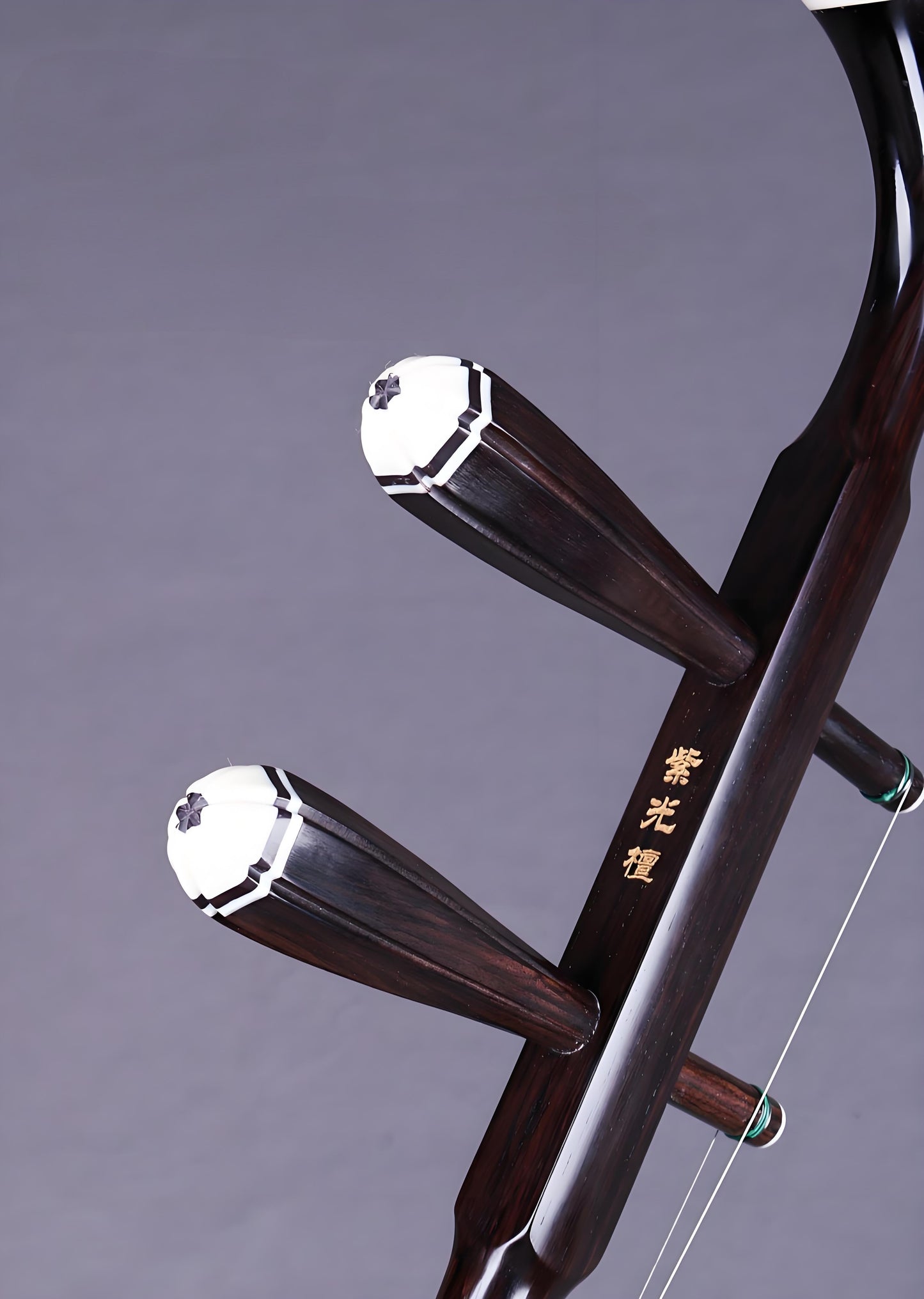 Wan Qixing(万其兴古月琴坊) Ebony Wood(黑檀) Erhu H206 – Professional Beginner Chinese Fiddle with Powerful Sound