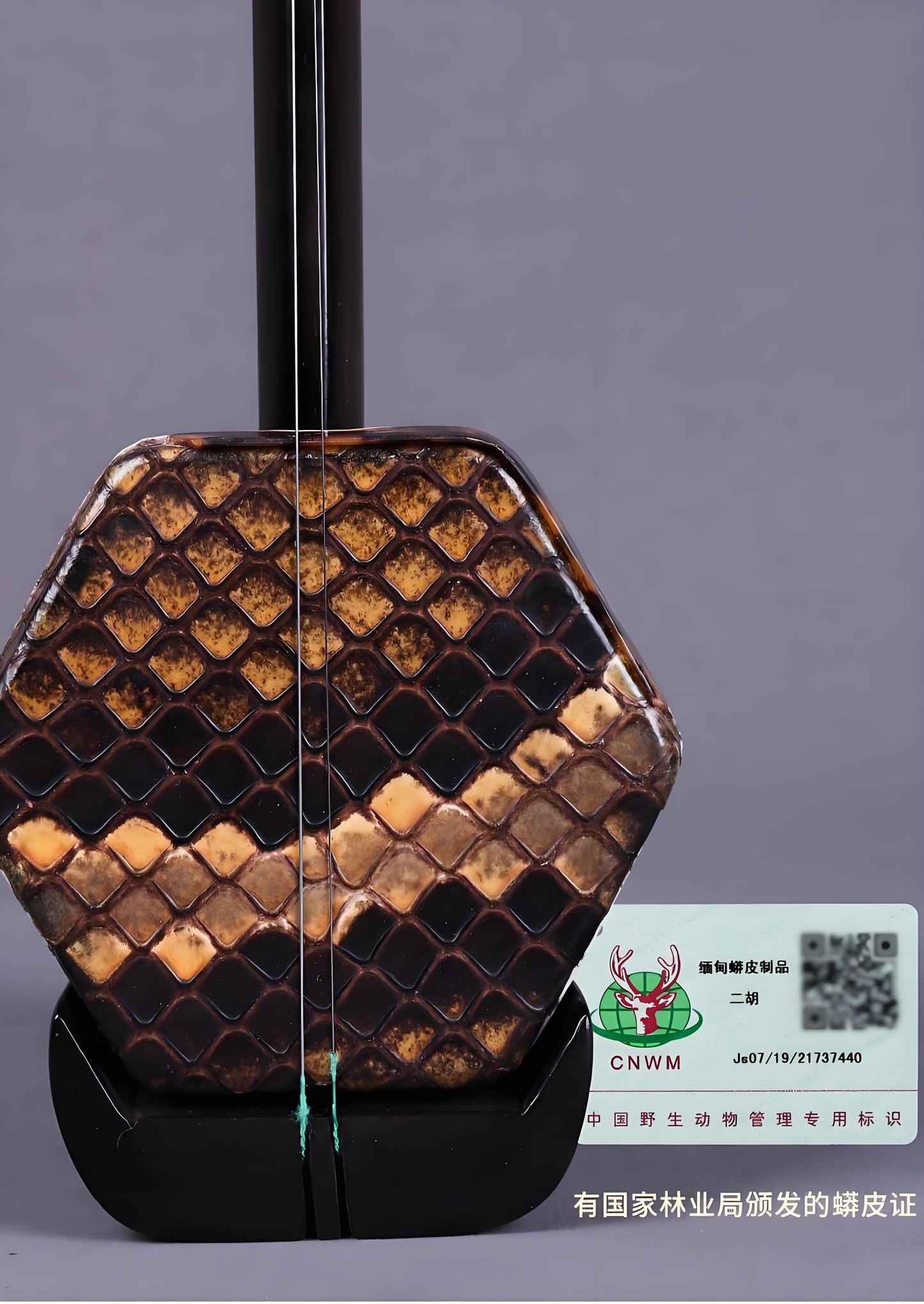Wan Qixing(万其兴古月琴坊) Ebony Wood(黑檀) Erhu H206 – Professional Beginner Chinese Fiddle with Powerful Sound