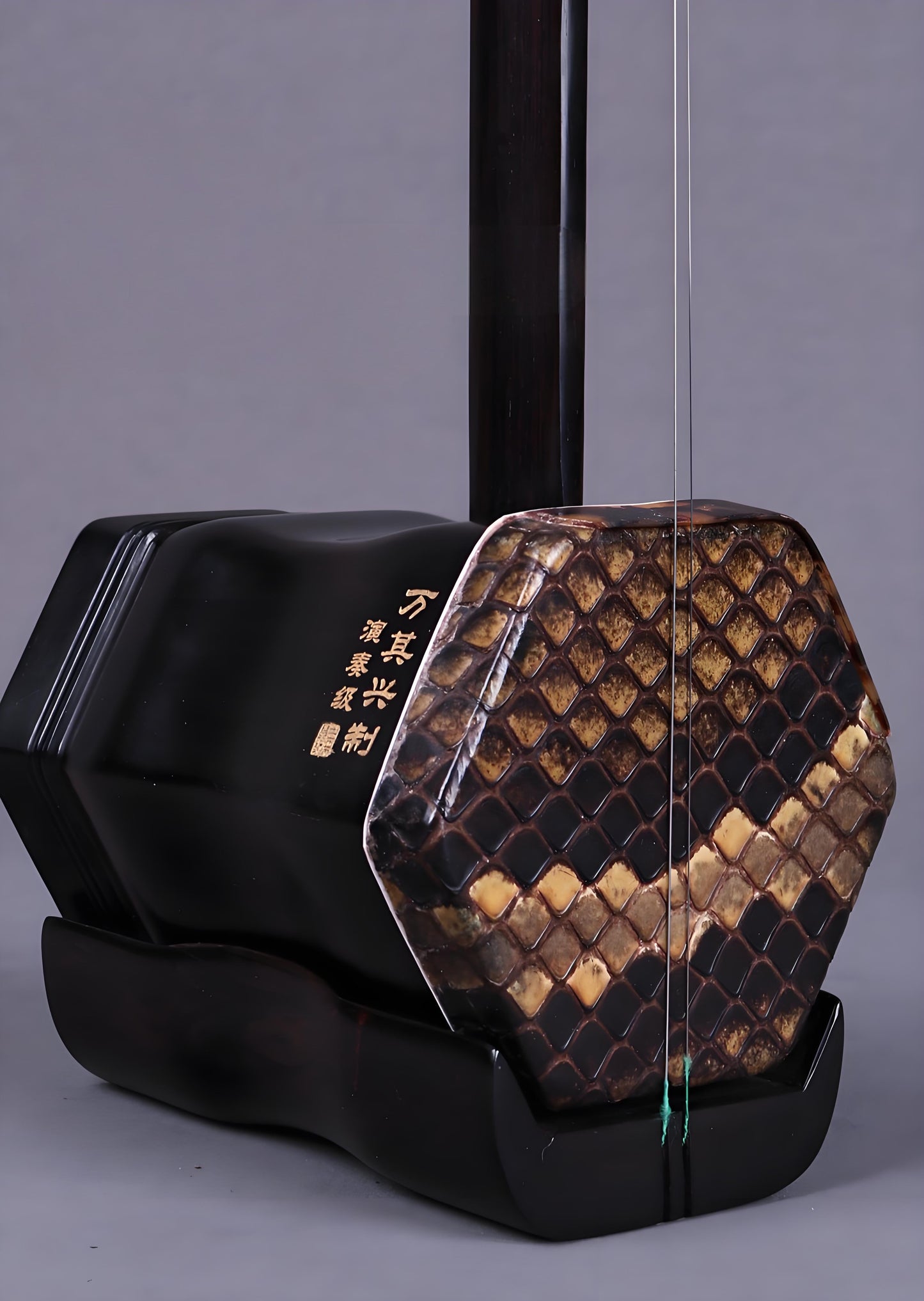Wan Qixing(万其兴古月琴坊) Ebony Wood(黑檀) Erhu H206 – Professional Beginner Chinese Fiddle with Powerful Sound
