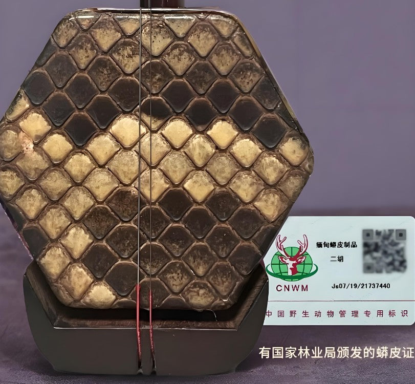 Wan Qixing(万其兴古月琴坊) Antique Redwood Erhu H303 – High-Grade Chinese Fiddle for Professional Performance