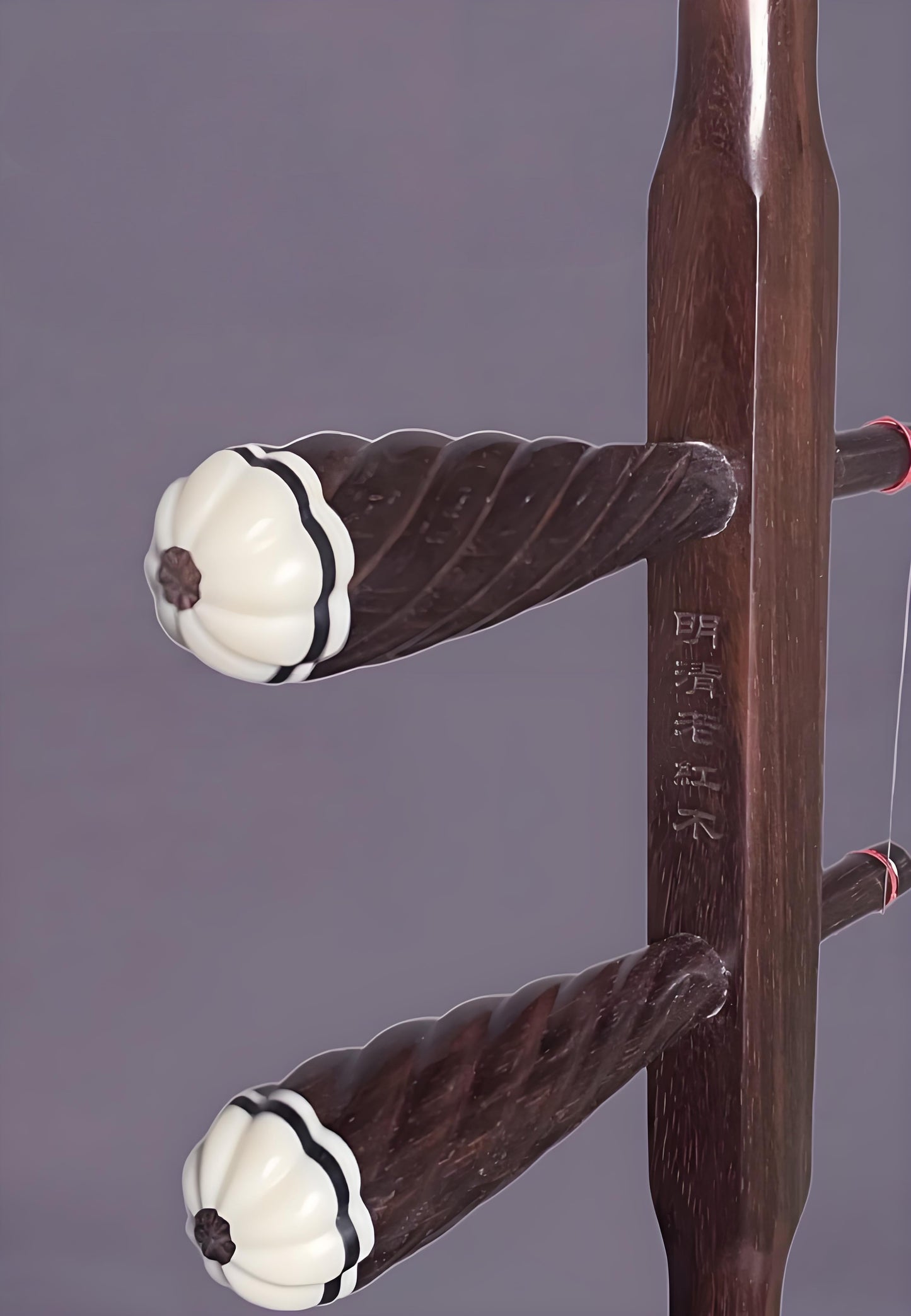 Wan Qixing(万其兴古月琴坊) Antique Redwood Erhu H303 – High-Grade Chinese Fiddle for Professional Performance