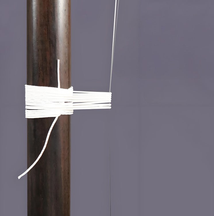 Wan Qixing(万其兴古月琴坊) Zhidemeli Antique Rosewood Erhu H304 – Professional Grade for Solo & Stage Performance