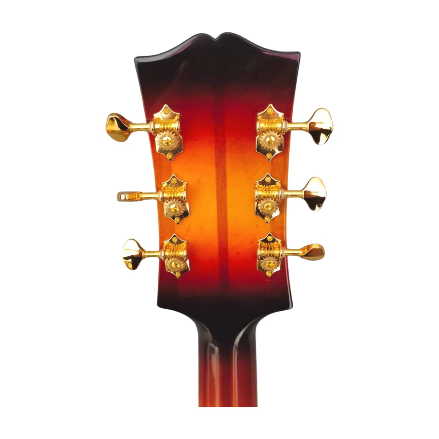 LANDTOM Customizable Acoustic Hollow Guitar Handcrafted Solid Maple Wood Jazz Guitar Instruments Musical