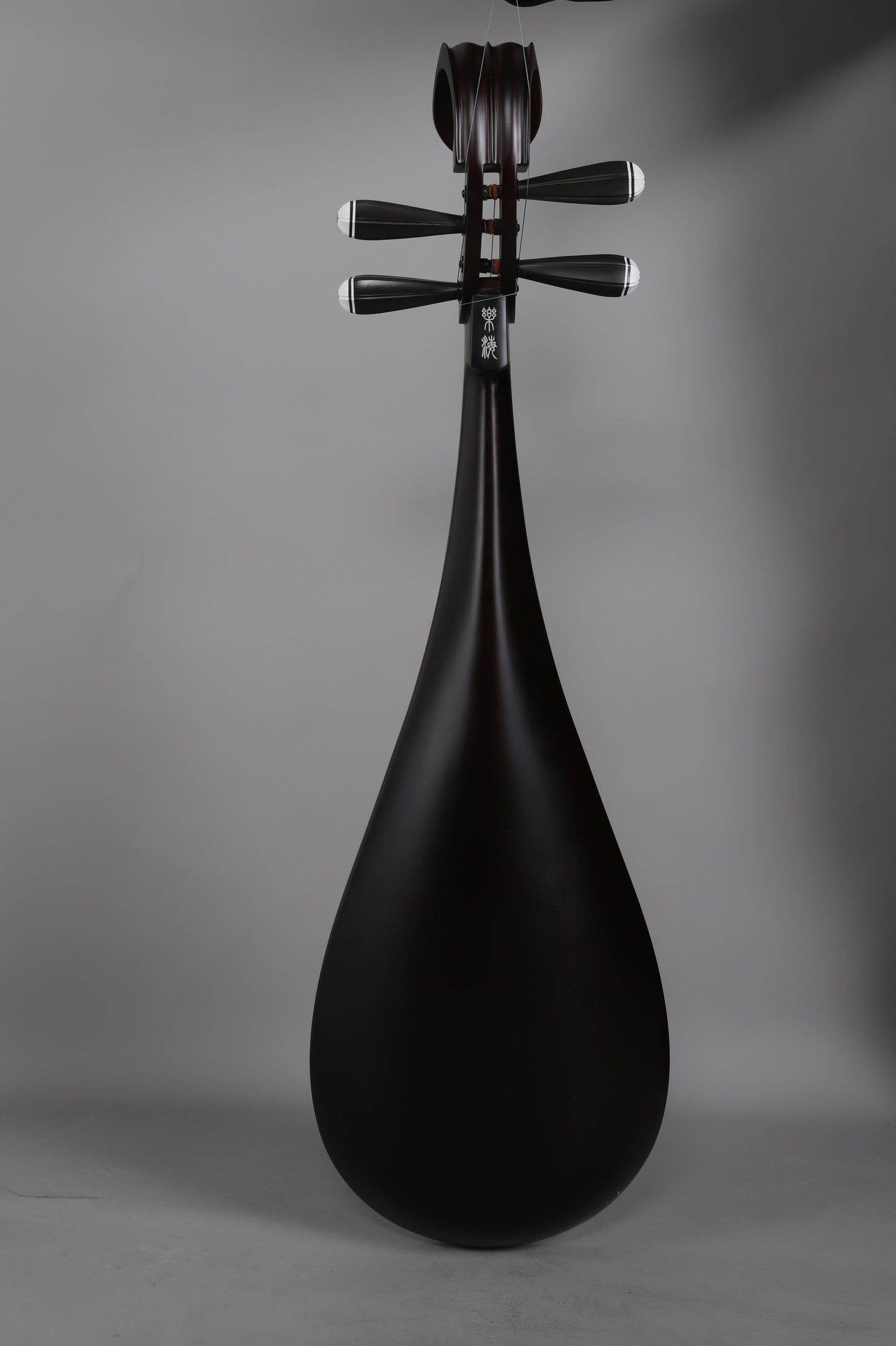 LANDTOM Yuehai Adult's African Rosewood Pipa 91W For beginners, Pipa performance, professional grade examination