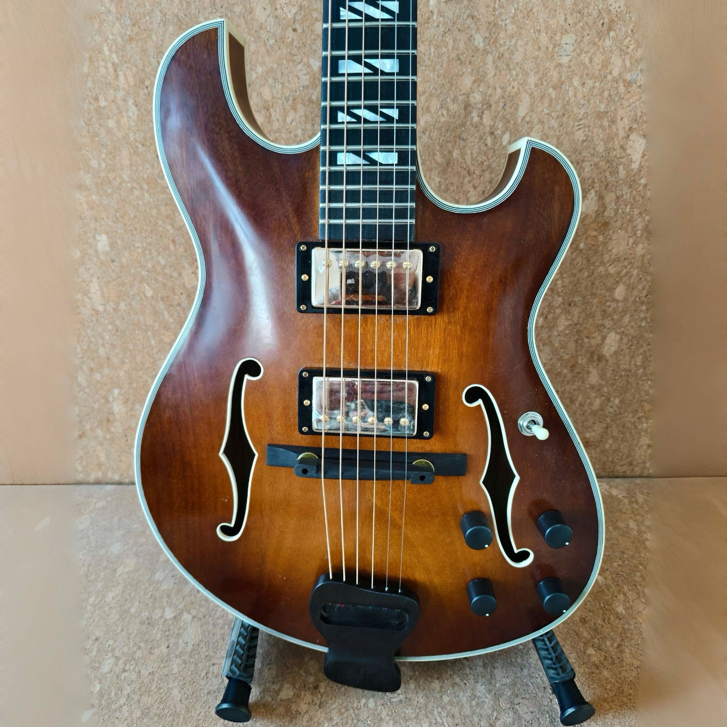 LANDTOM Customizable Handmade Archtop Languedoc Style Jazz Guitar-Luthier Guitar Carved Mahogany Body Ebony Fingerboard Professional Electric Guitar