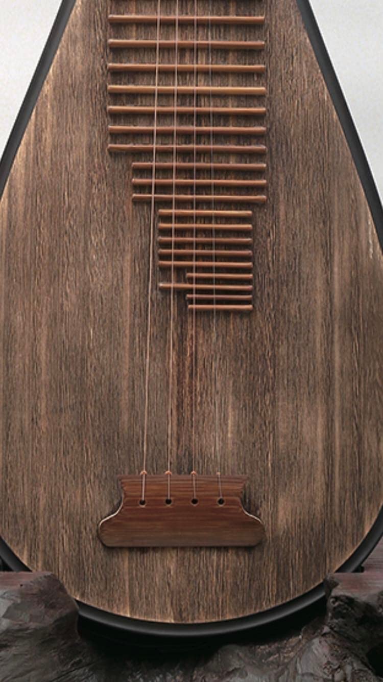 LANDTOM Concert level chicken-wing wood  Chinese Pipa/Chinese Stringed lute with back-to-ancients style made by famous pipa master Tian JIanzhuang
