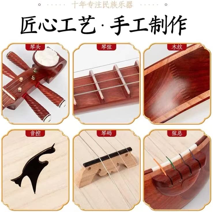 LANDTOM Performer's Rosewood Zhongruan - Chinese Ruan Lute (B)